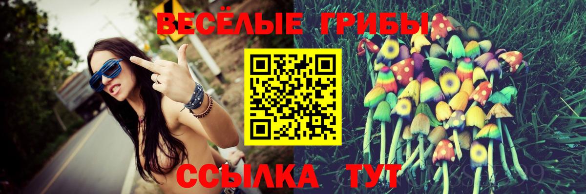 Асбест  Галлюциногенные грибы GOLDEN TEACHER  Вход с VPN  Галлюциногенные грибы прущие грибы 